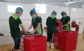 CHILI PREPARATION AREA