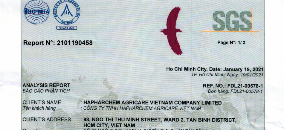 Red Chili analysis results of Bavina on Jan 19th 2021