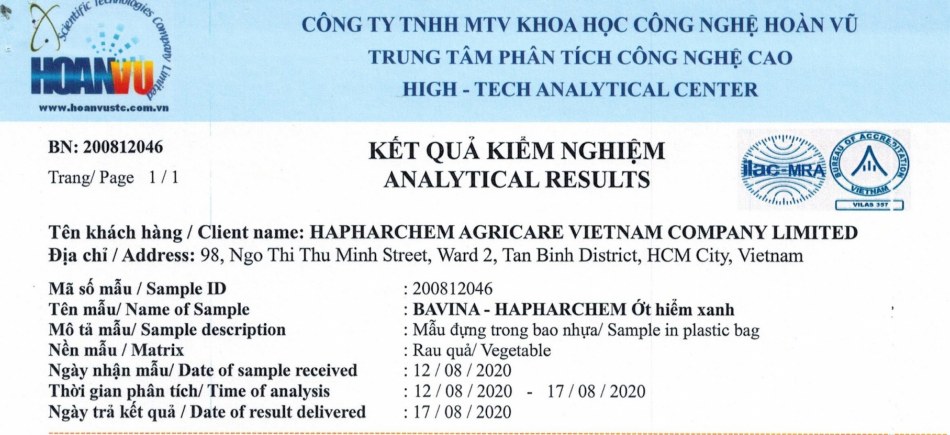 2020年8月12日のBavinaのグリーンチリ分析結果