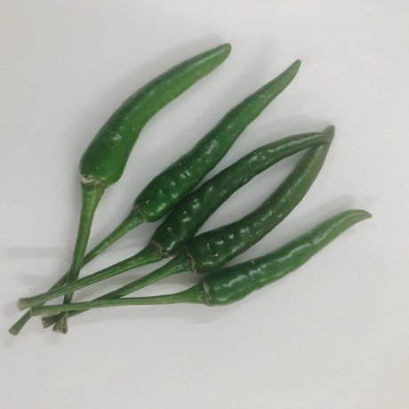 Small Green Chili