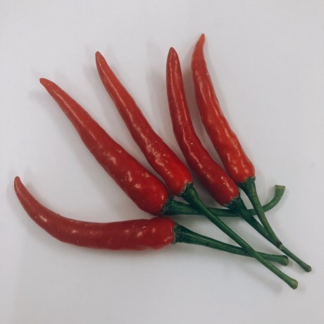 Small Red Chili